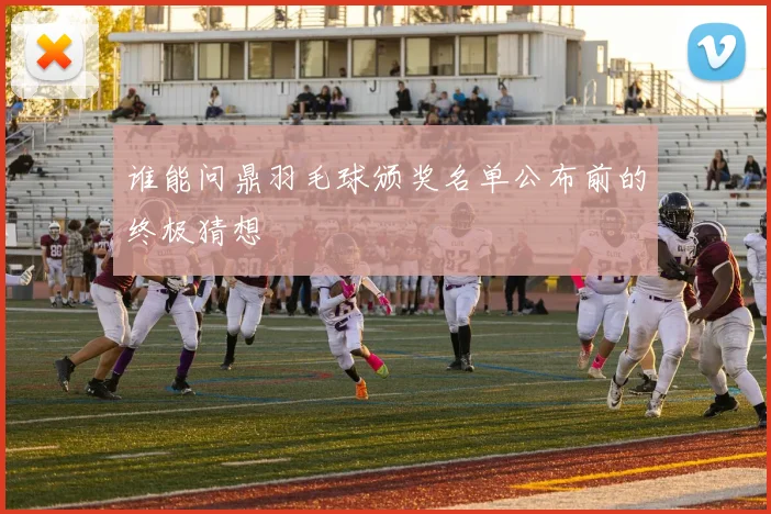 谁能问鼎羽毛球颁奖名单公布前的终极猜想