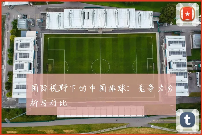 国际视野下的中国排球:竞争力分析与对比