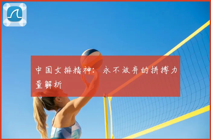中国女排精神：永不放弃的拼搏力量解析