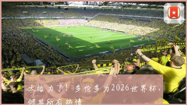太给力了！多伦多为2026世界杯，倾其所有热情