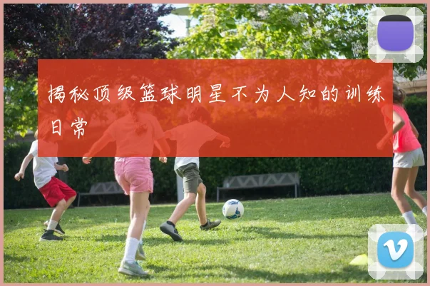 揭秘顶级篮球明星不为人知的训练日常