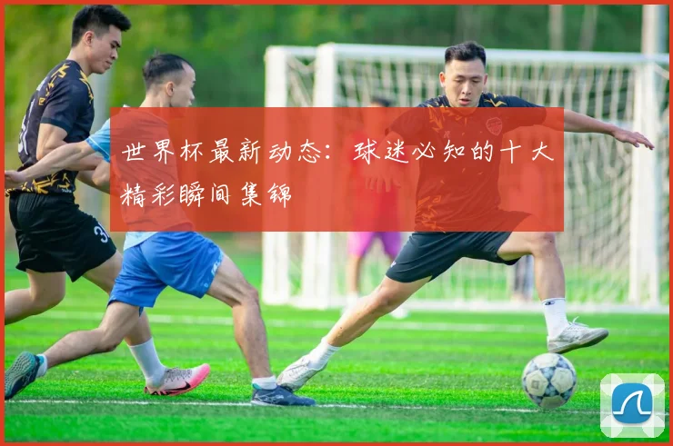 世界杯最新动态：球迷必知的十大精彩瞬间集锦